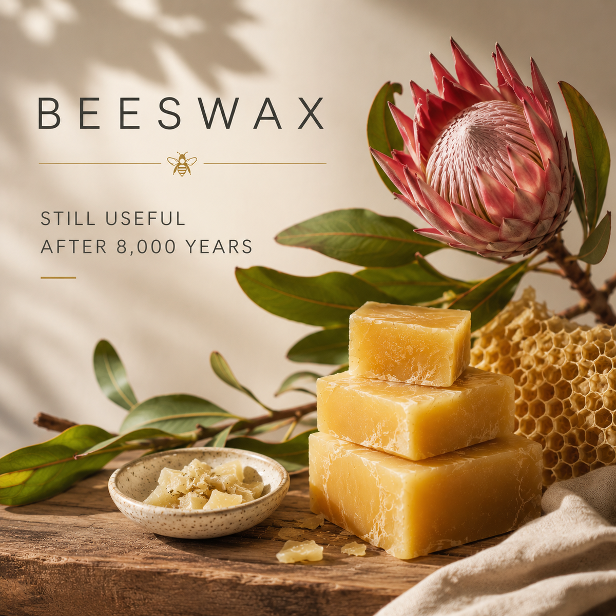 Let's Talk Ingredients | Beeswax