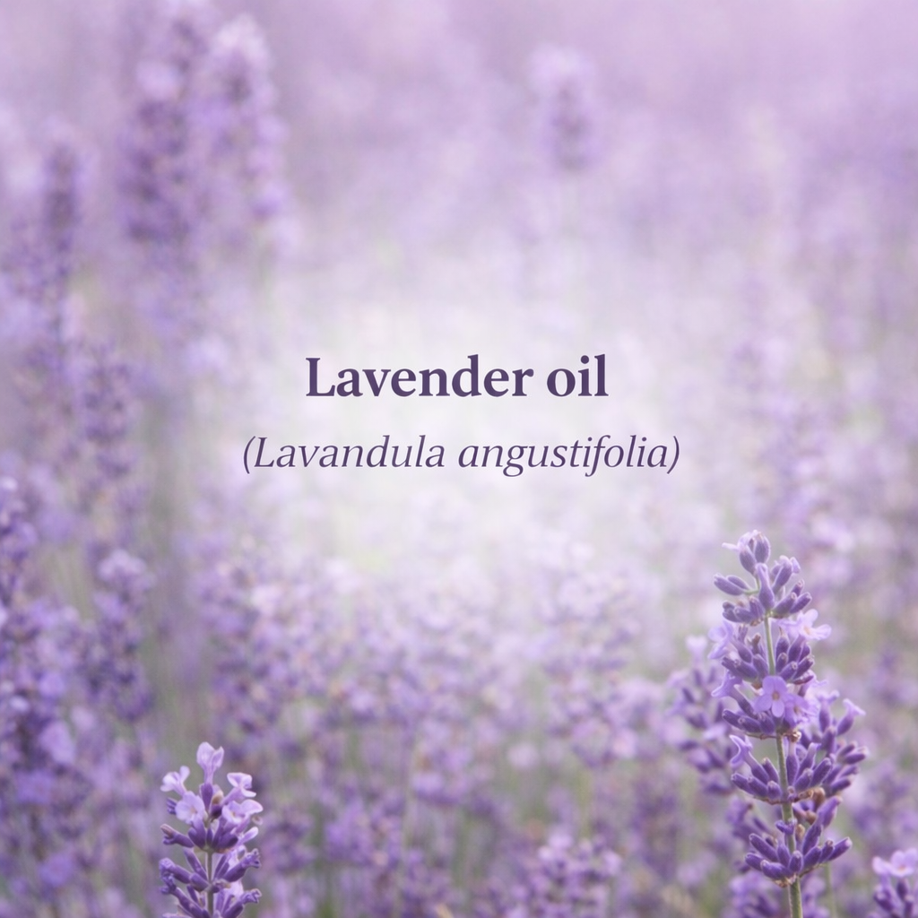 Let's Talk Ingredients - Lavandula angustifolia (Lavender) Oil