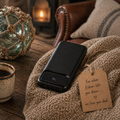 SISU for Dads | Swiss Cougar Bratislava Fast Charge Powerbank