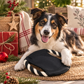 Christmas @ SISU | Altitude Catch Pet Frisbee