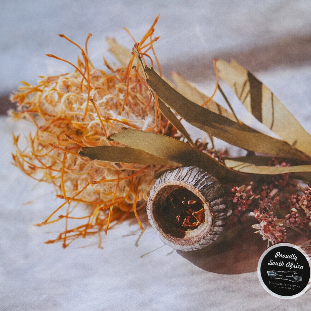 SISU's No Fuss Paper Placemats